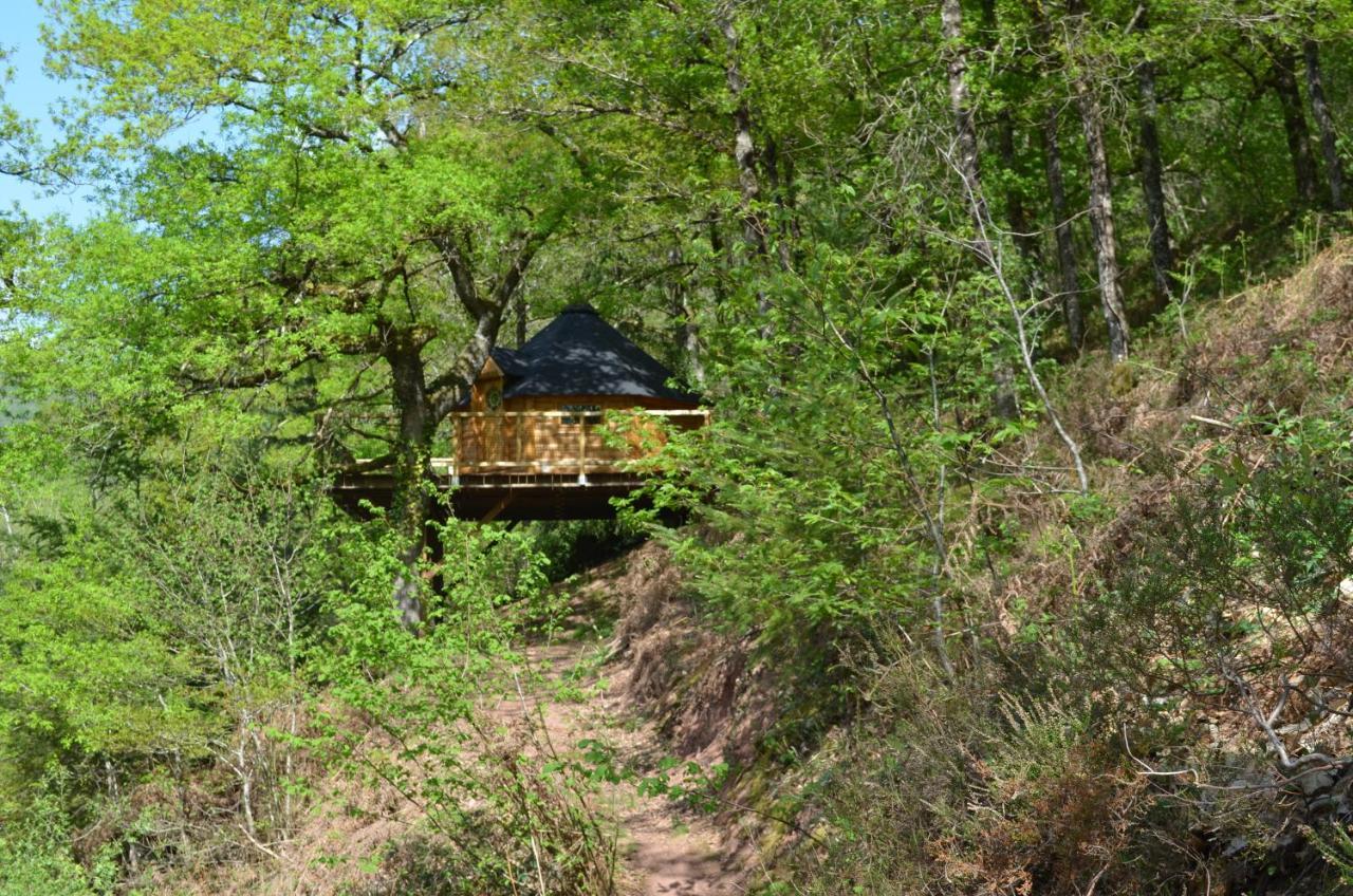 Les cabanes du Duzou Conques-en-Rouergue Extérieur photo