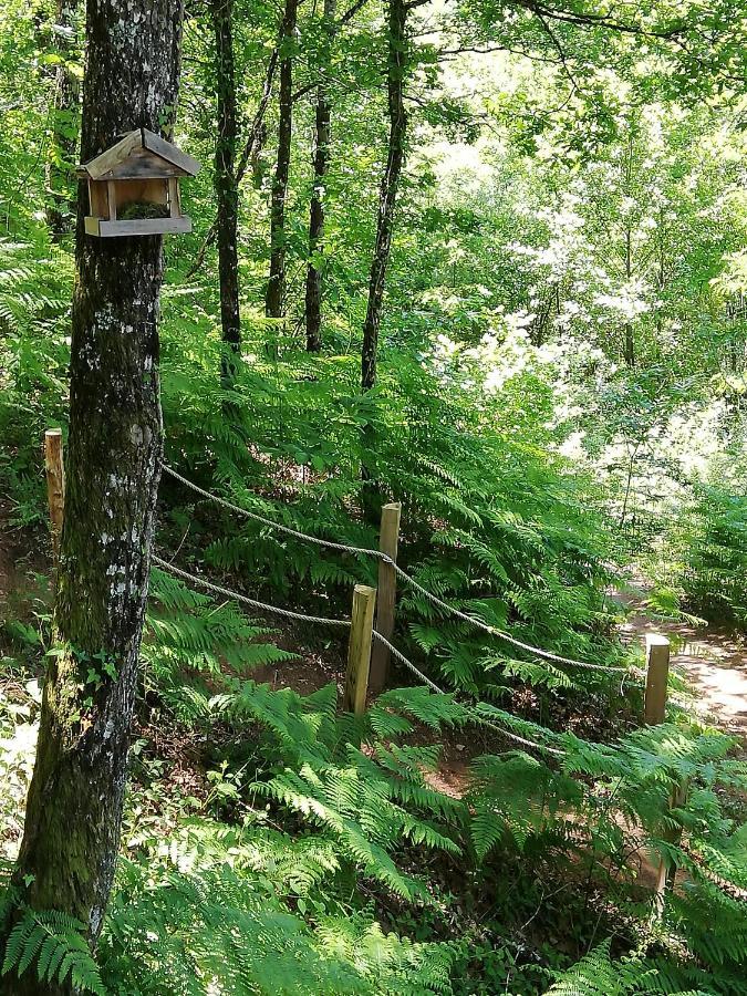 Les cabanes du Duzou Conques-en-Rouergue Extérieur photo